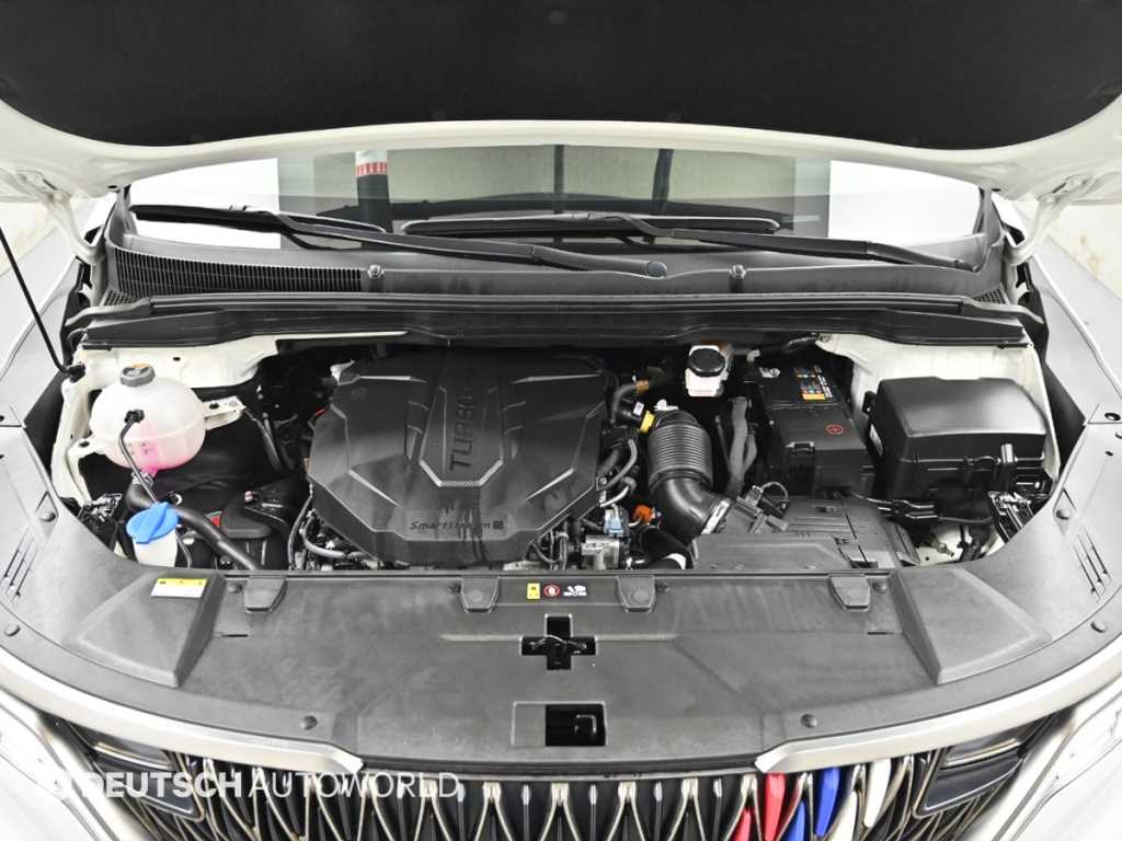 KIA Carnival - Vista 6