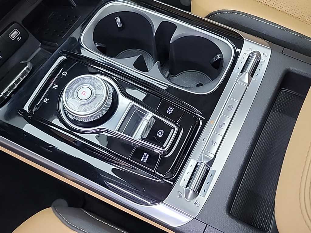 KIA Carnival - Vista 8
