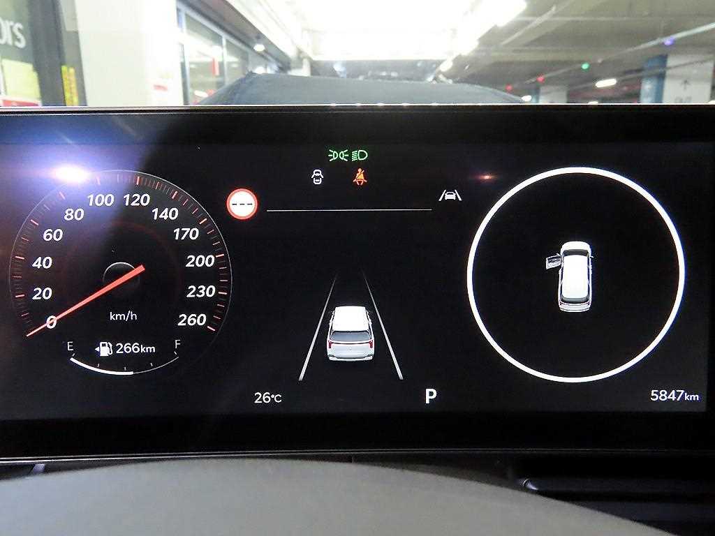 KIA Carnival - Vista 9