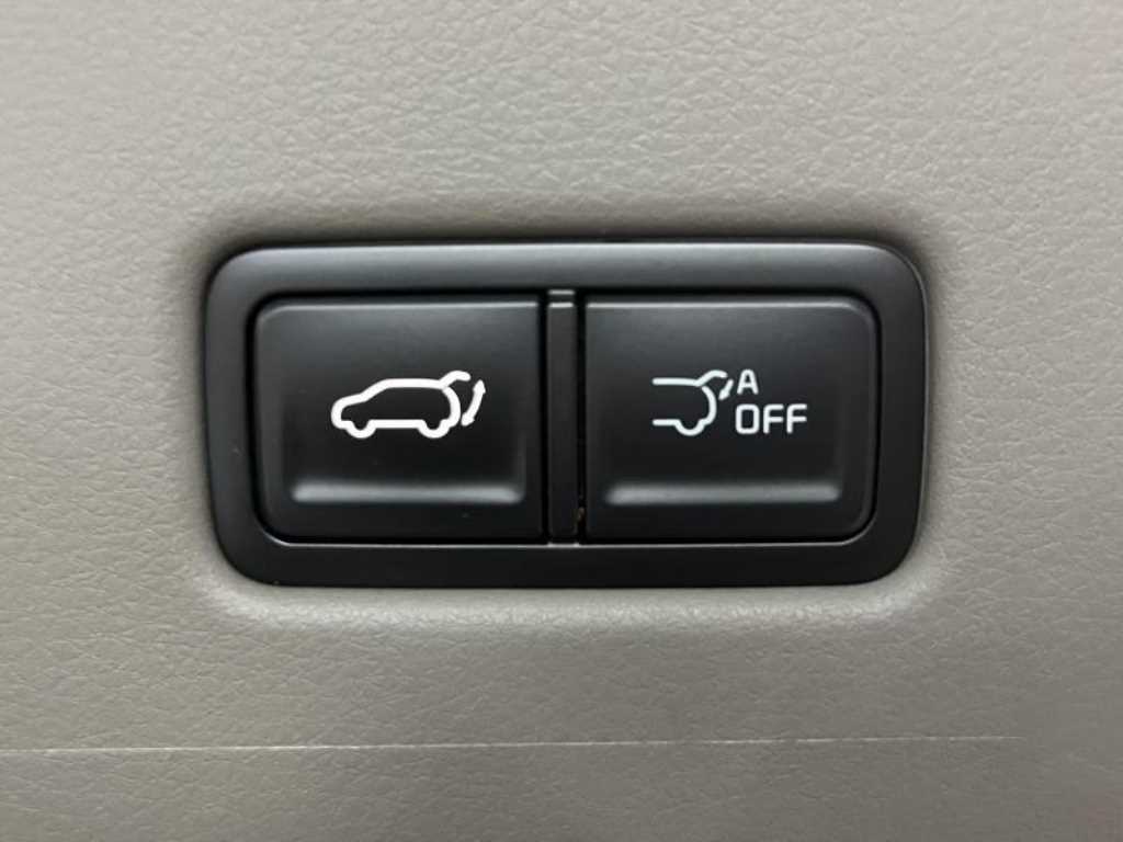 KIA Carnival - Vista 9