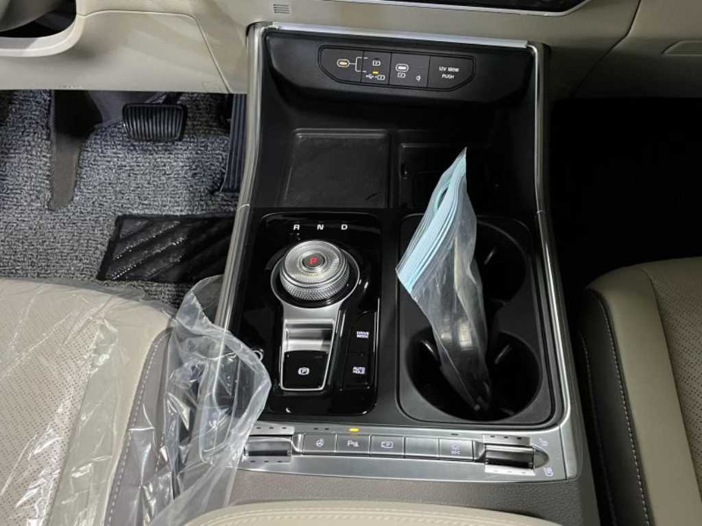 KIA Carnival - Vista 12
