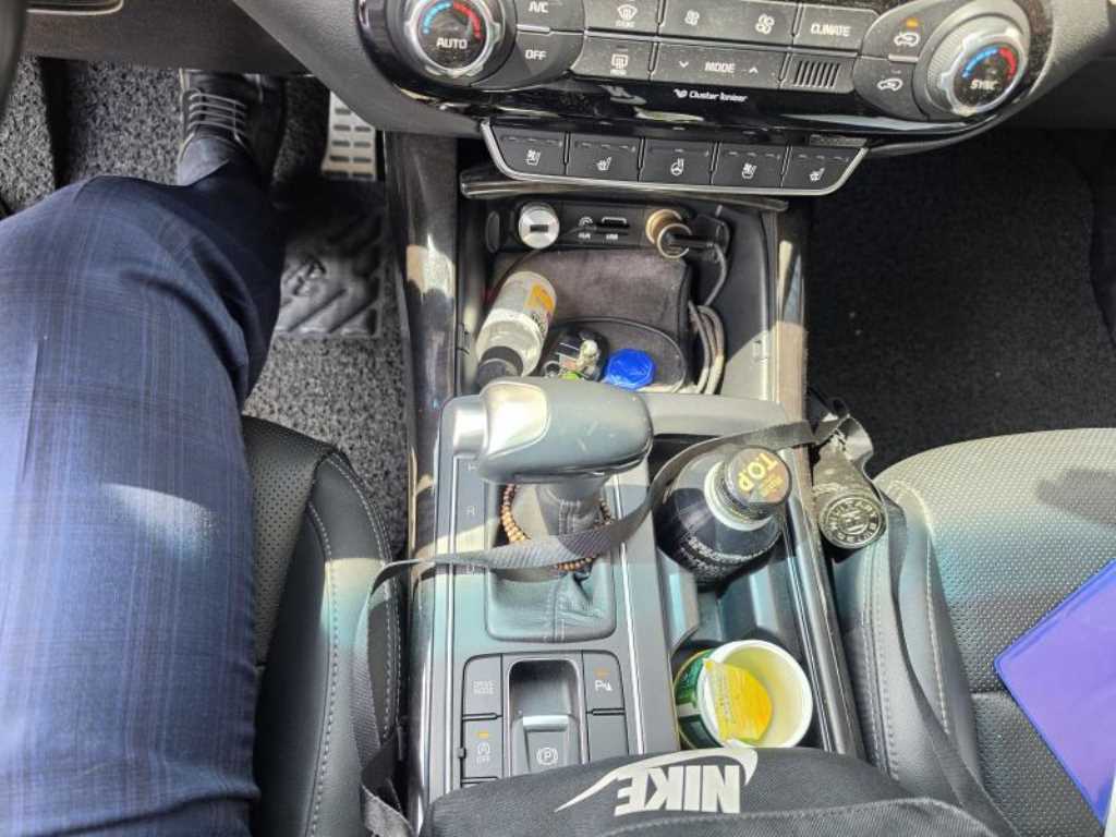 KIA Sorento - Vista 10