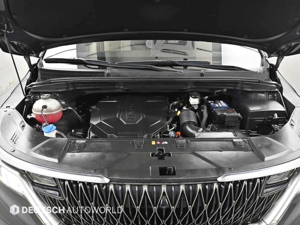KIA Carnival - Vista 6