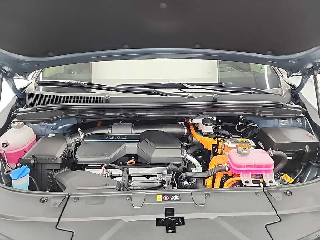 KIA Carnival - Vista 5