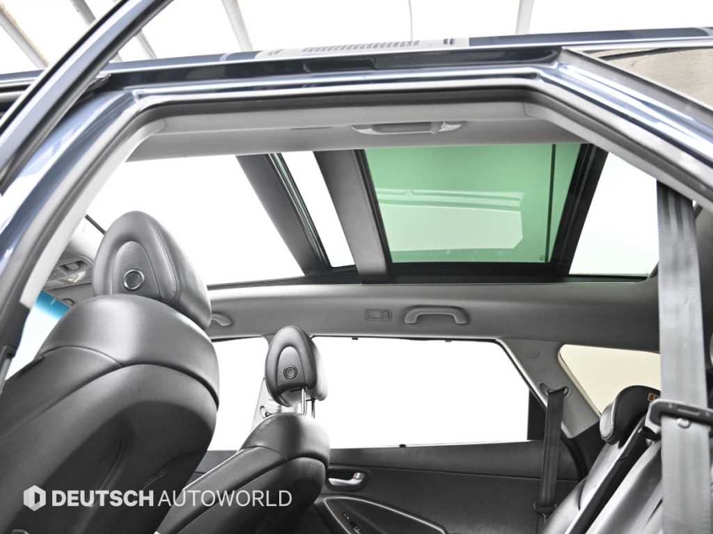 HYUNDAI Maxcruz - Vista 11