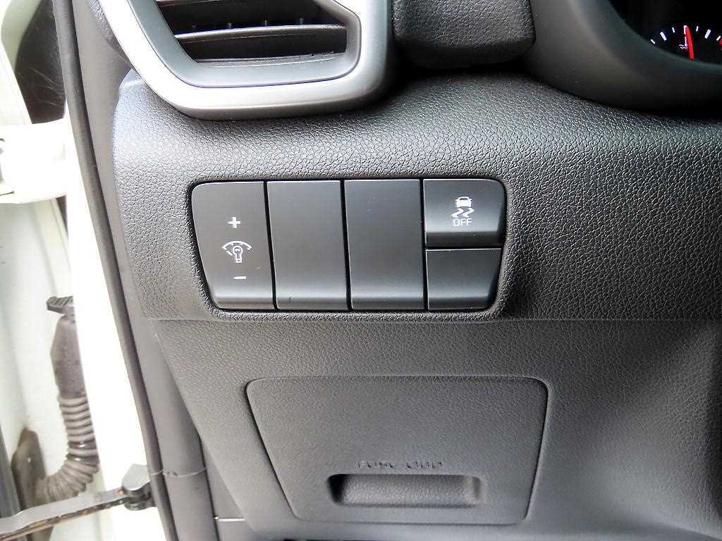 KIA Sportage - Vista 12