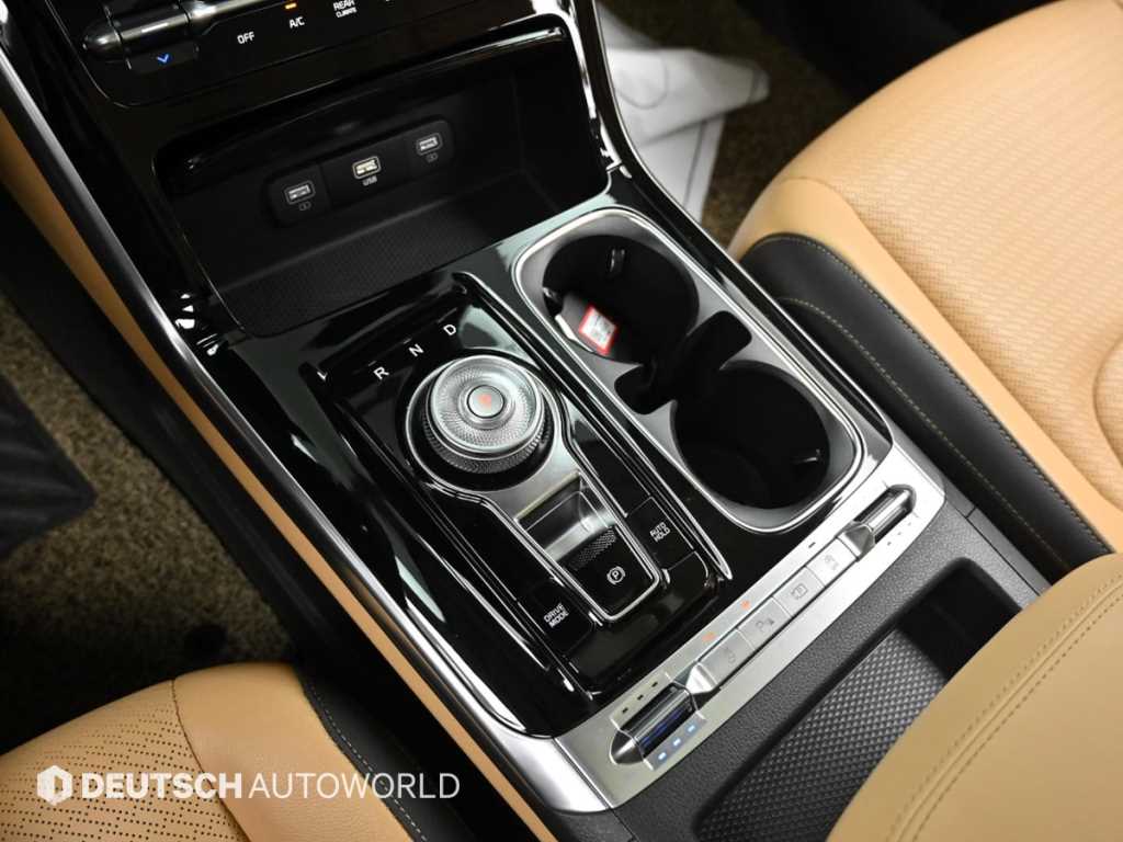 KIA Carnival - Vista 9