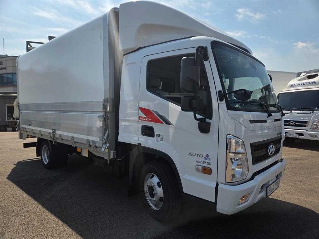 medium and large cargo truck - Vista 8