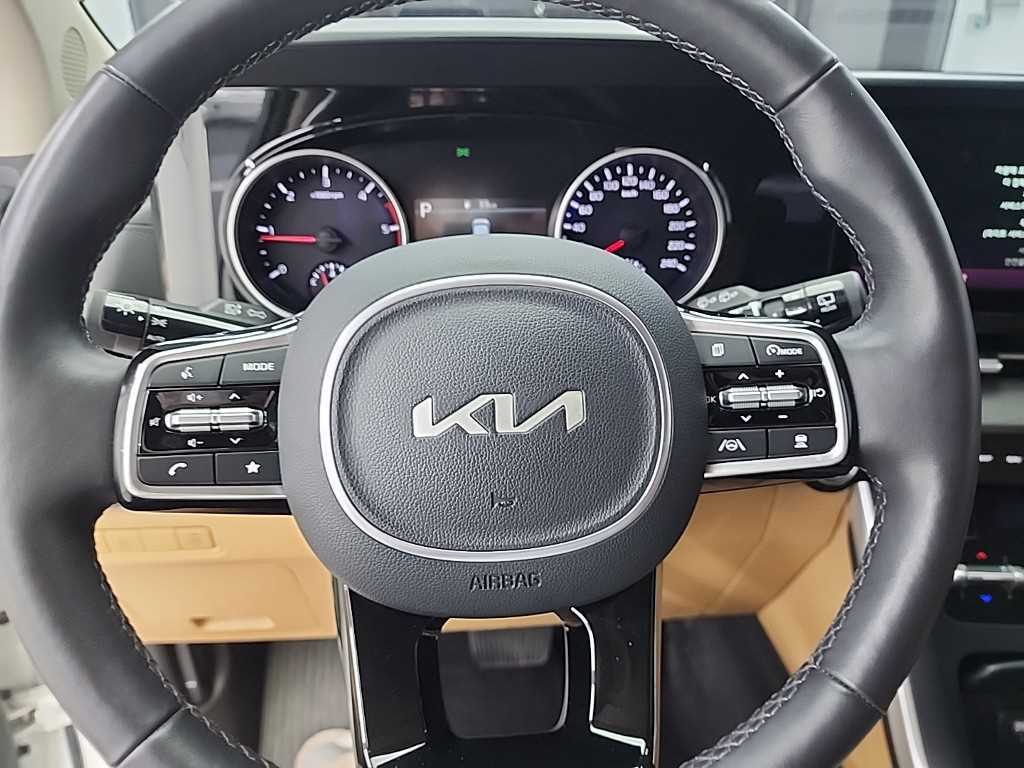 KIA Carnival - Vista 9