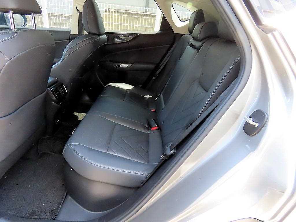 Lexus NX - Vista 6