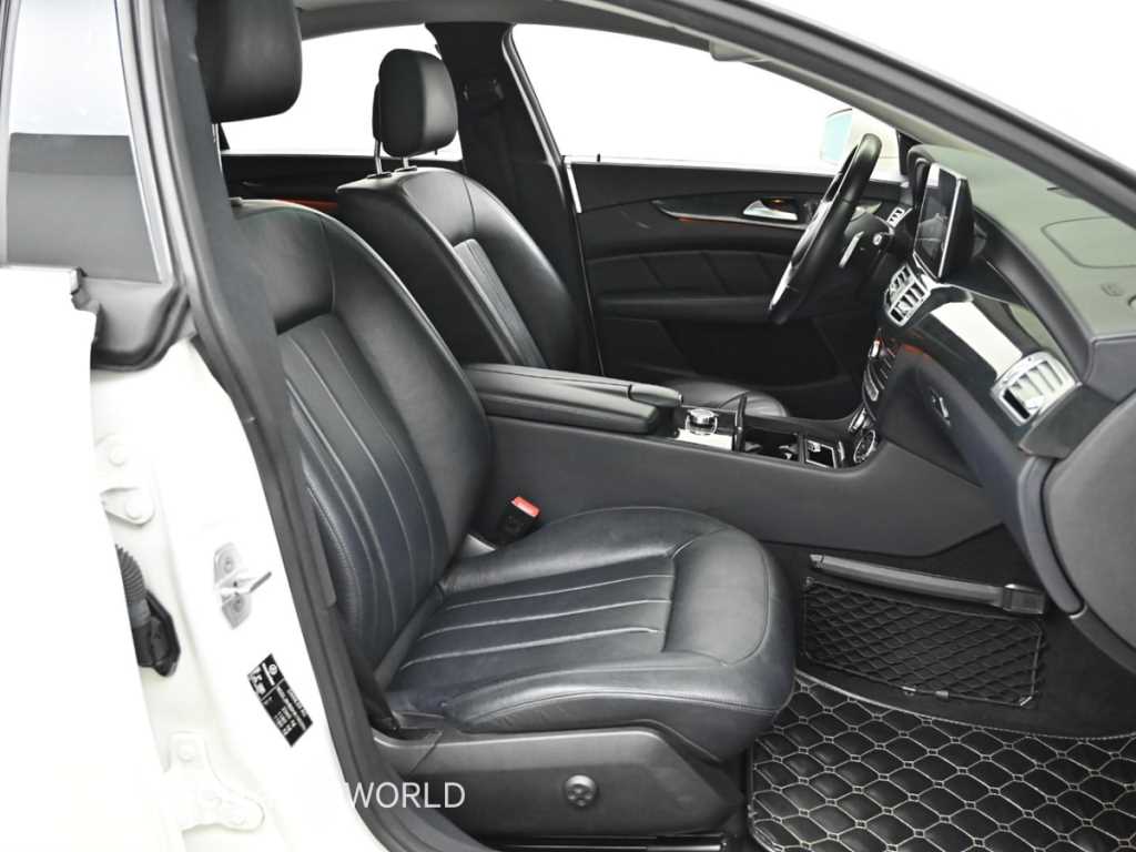 Mercedes Benz CLS Class - Vista 10