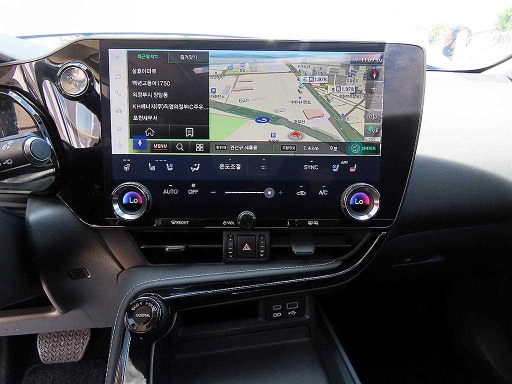 Lexus NX - Vista 12
