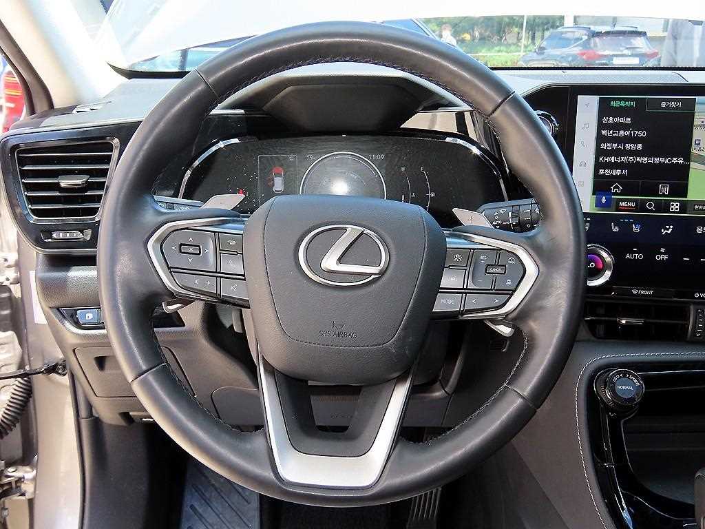Lexus NX - Vista 8