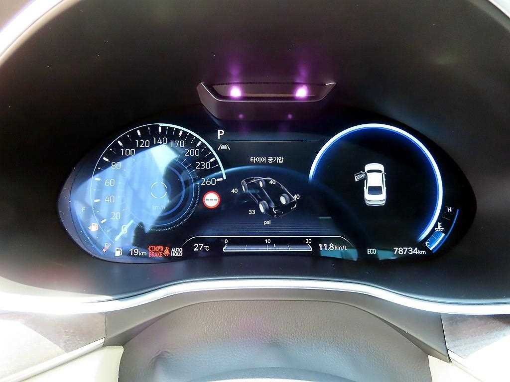 Genesis G80 - Vista 9