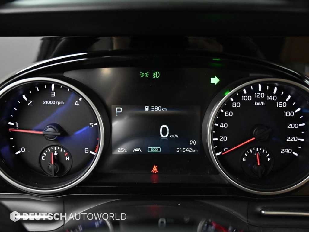KIA Carnival - Vista 8