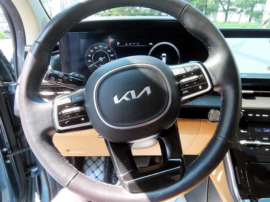KIA Carnival - Vista 8