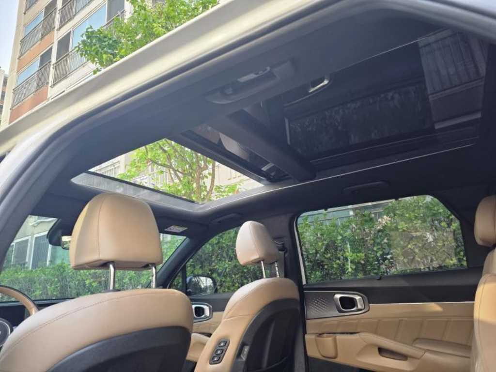 KIA Sorento - Vista 9