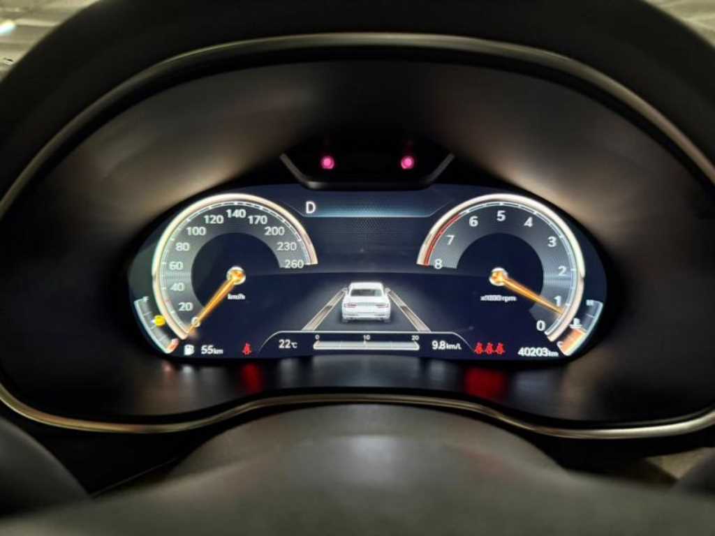 Genesis G80 - Vista 9