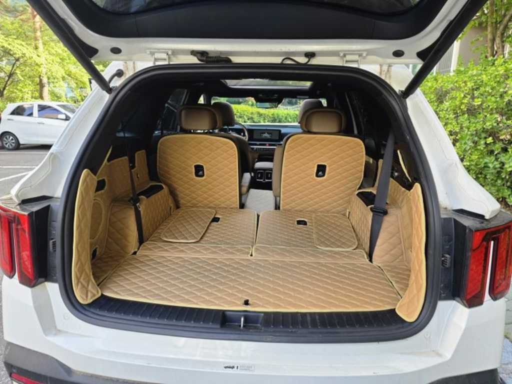 KIA Sorento - Vista 12