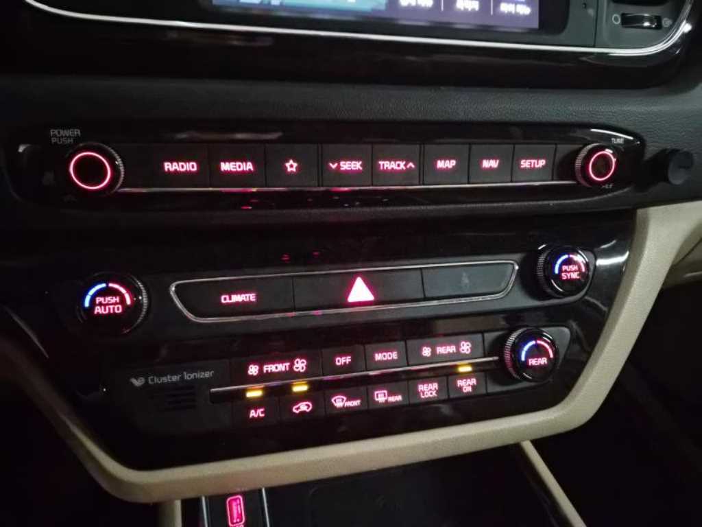 KIA Carnival - Vista 10