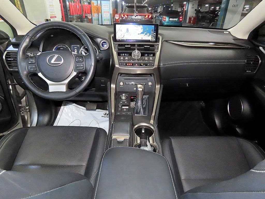 Lexus NX - Vista 10