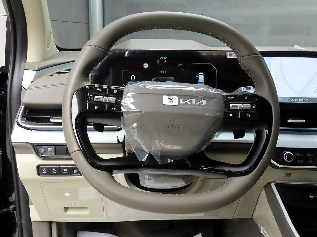 KIA Carnival - Vista 9