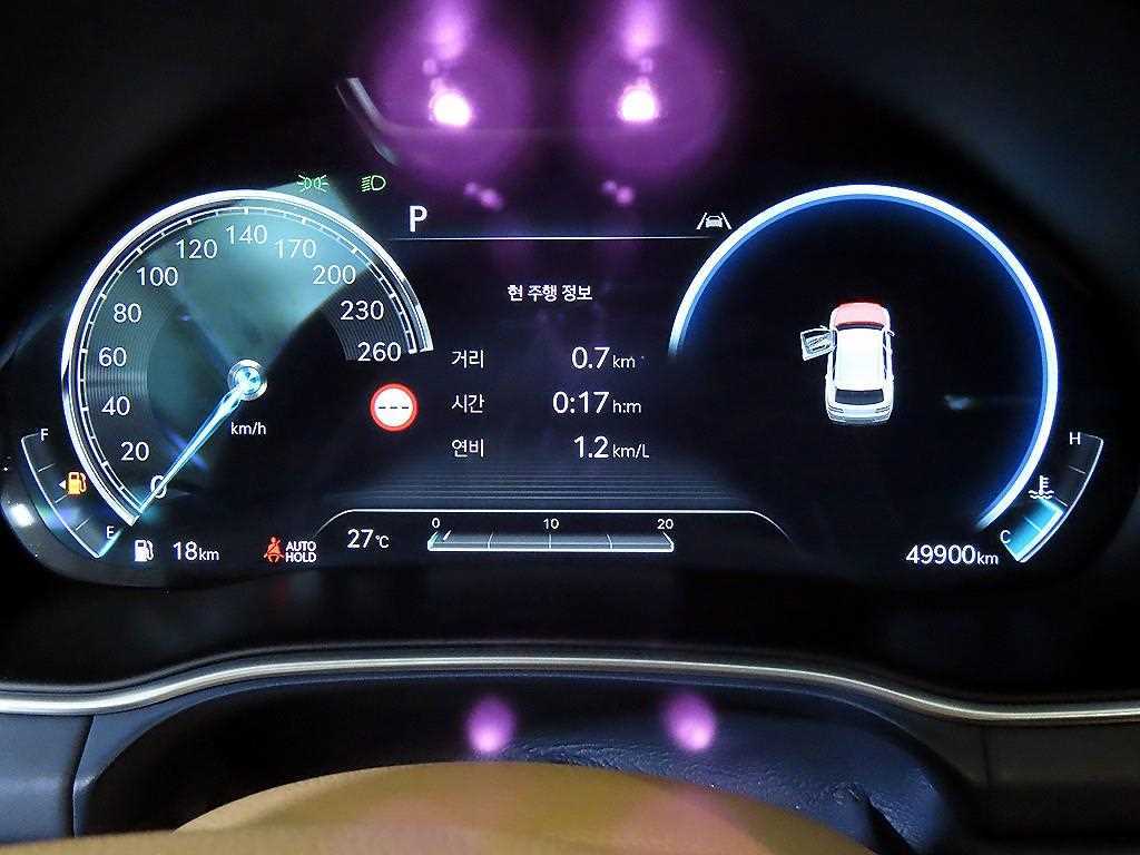 Genesis GV80 - Vista 10