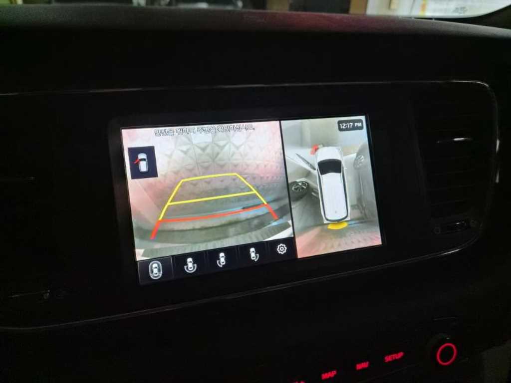 KIA Carnival - Vista 12