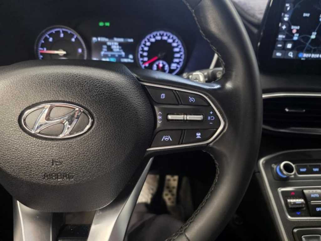HYUNDAI Santa Fe - Vista 10