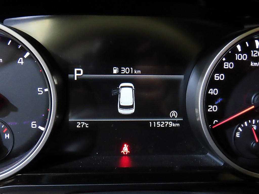 KIA Carnival - Vista 9