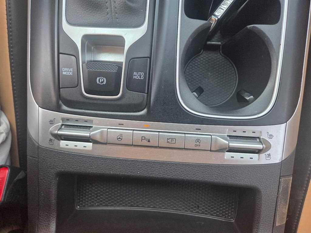 KIA Carnival - Vista 9
