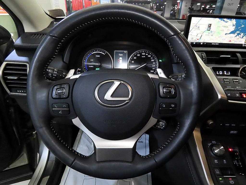 Lexus NX - Vista 8