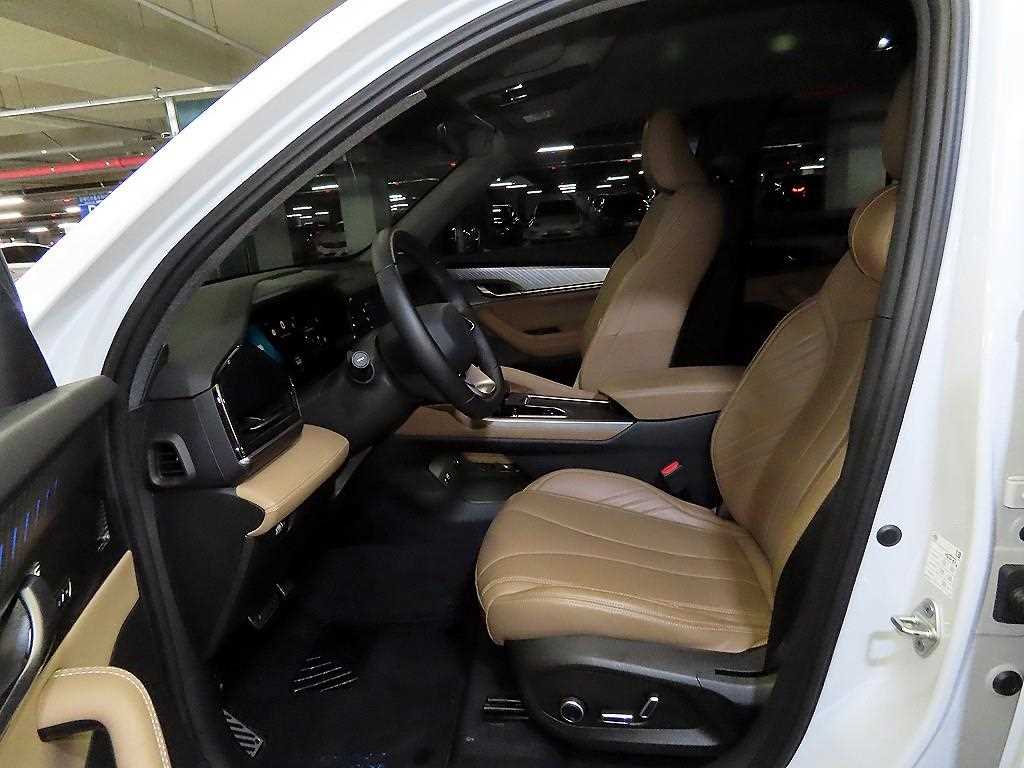 SAMSUNG Grand Koleos - Vista 6