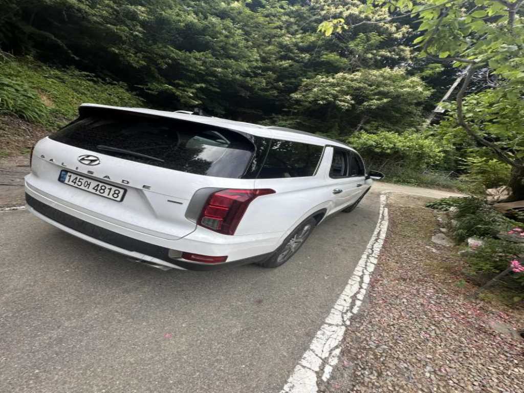 HYUNDAI Palisade - Vista 2