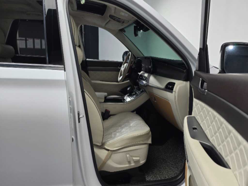 HYUNDAI Palisade - Vista 11