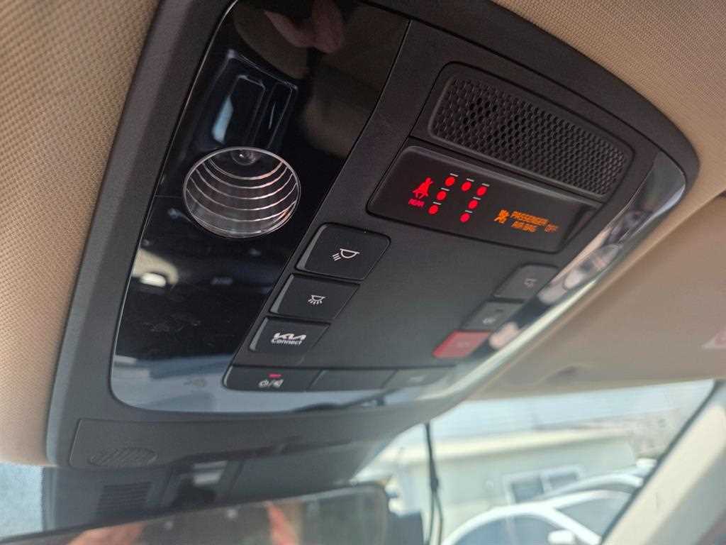KIA Carnival - Vista 8