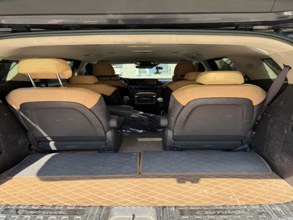 KIA Carnival - Vista 8