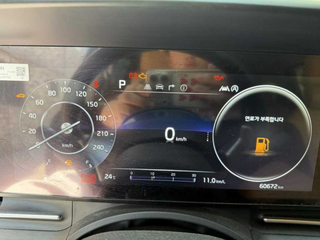 KIA Carnival - Vista 10