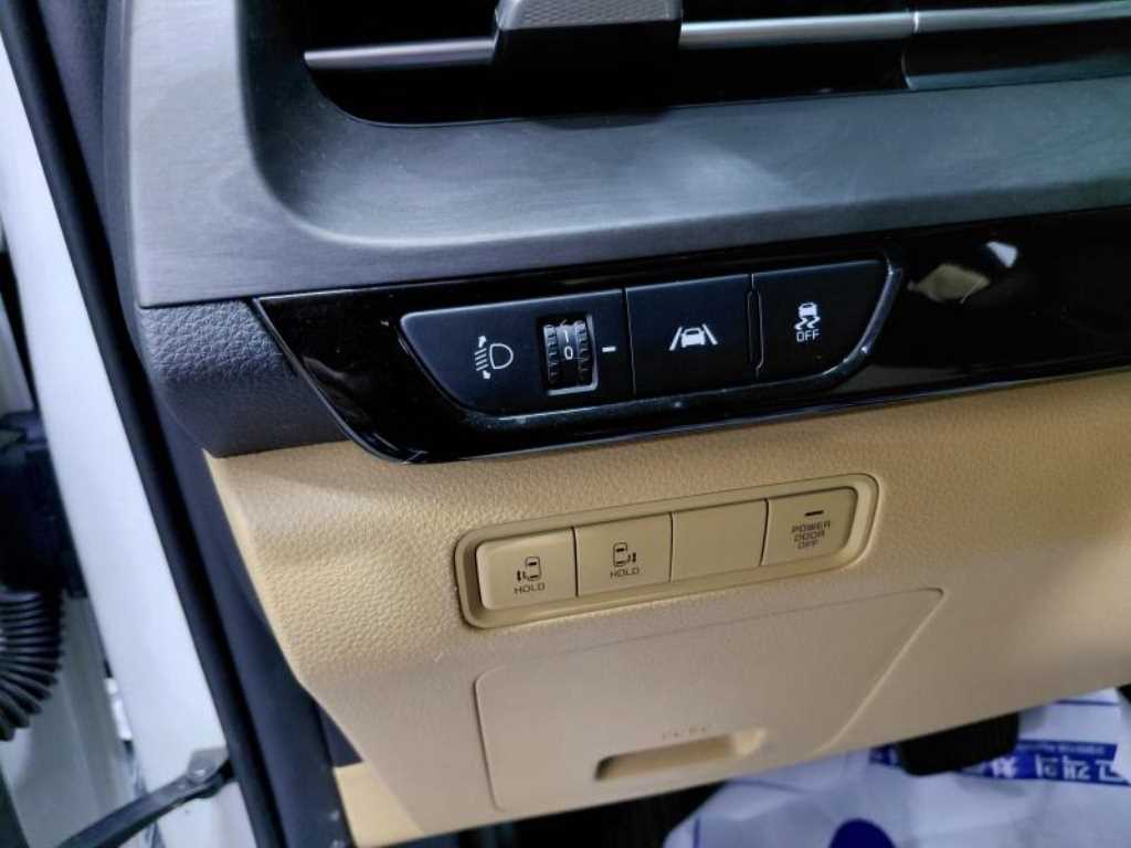KIA Carnival - Vista 8