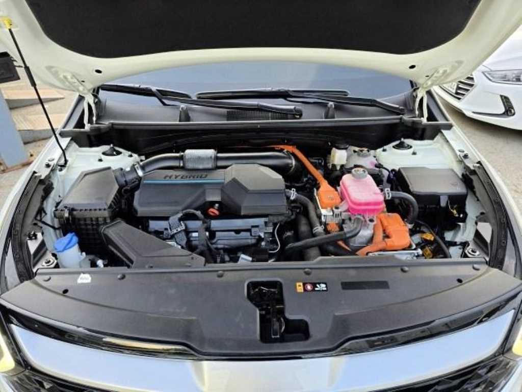 KIA Sportage - Vista 5