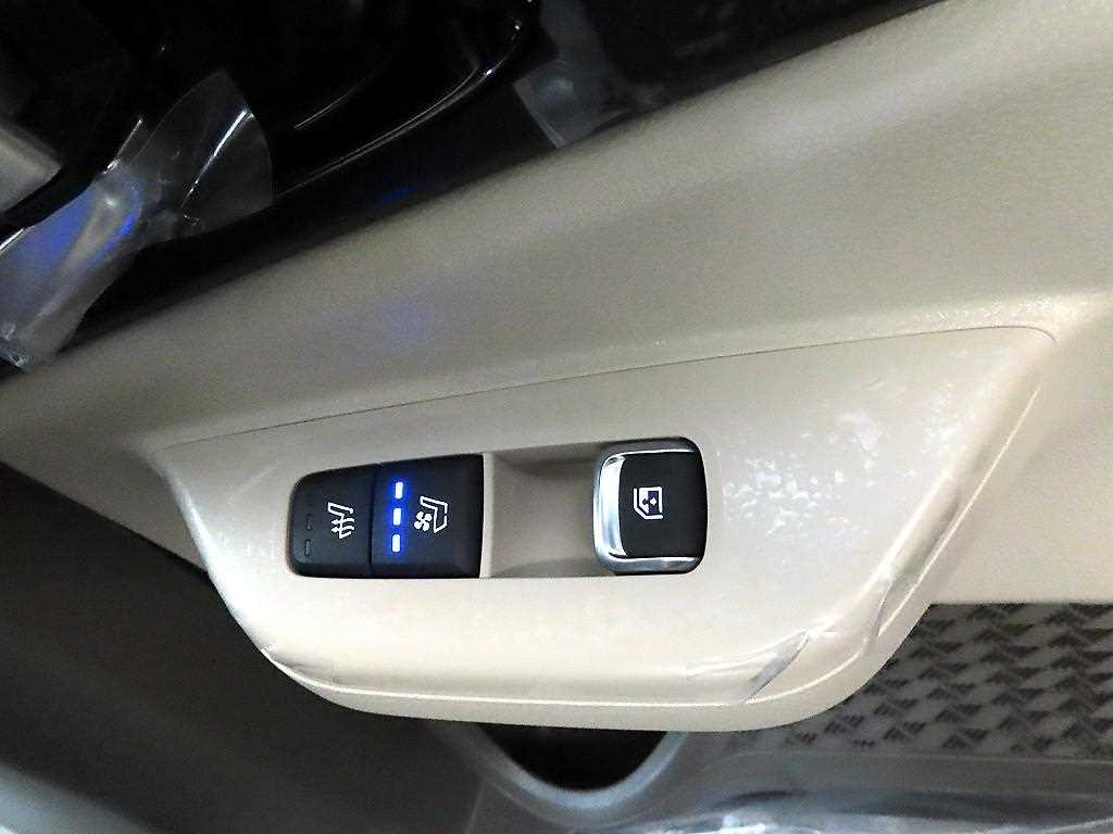 KIA Carnival - Vista 12