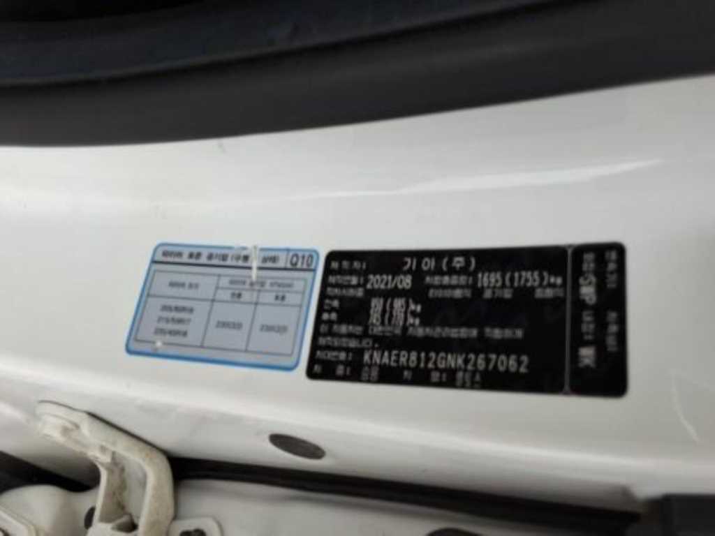 KIA Seltos - Vista 10