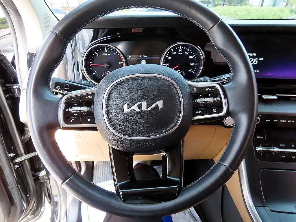 KIA Carnival - Vista 9