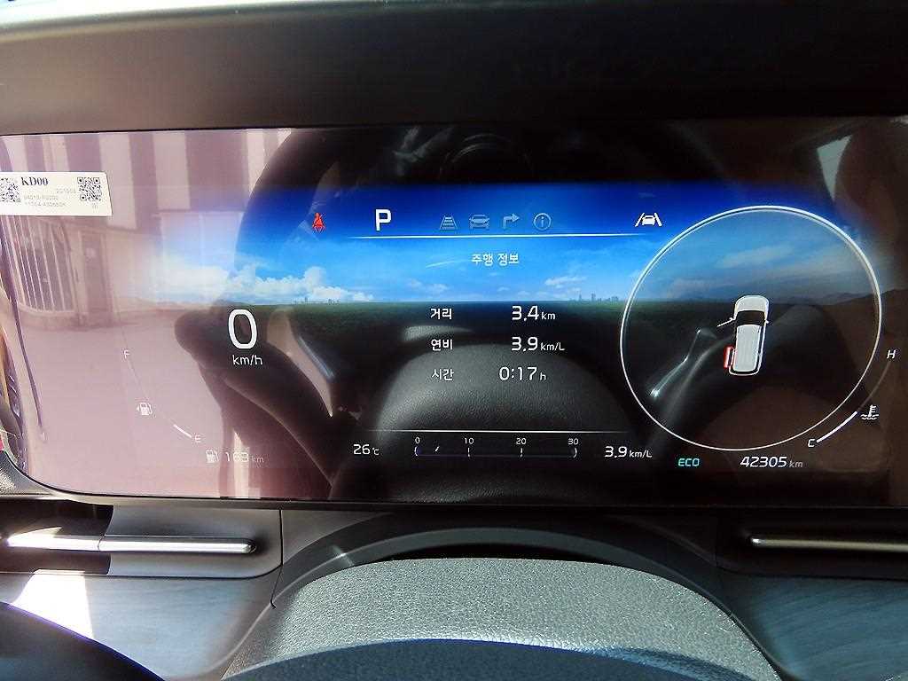 KIA Carnival - Vista 10
