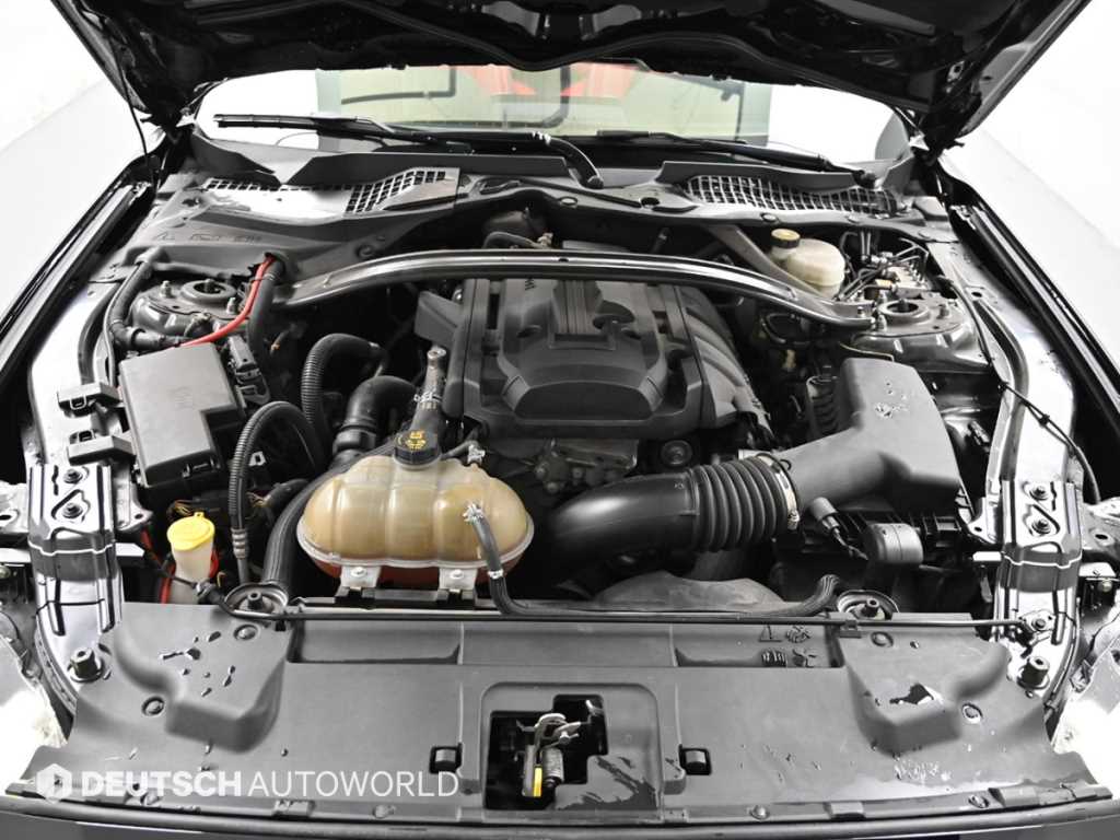 Ford Mustang - Vista 6