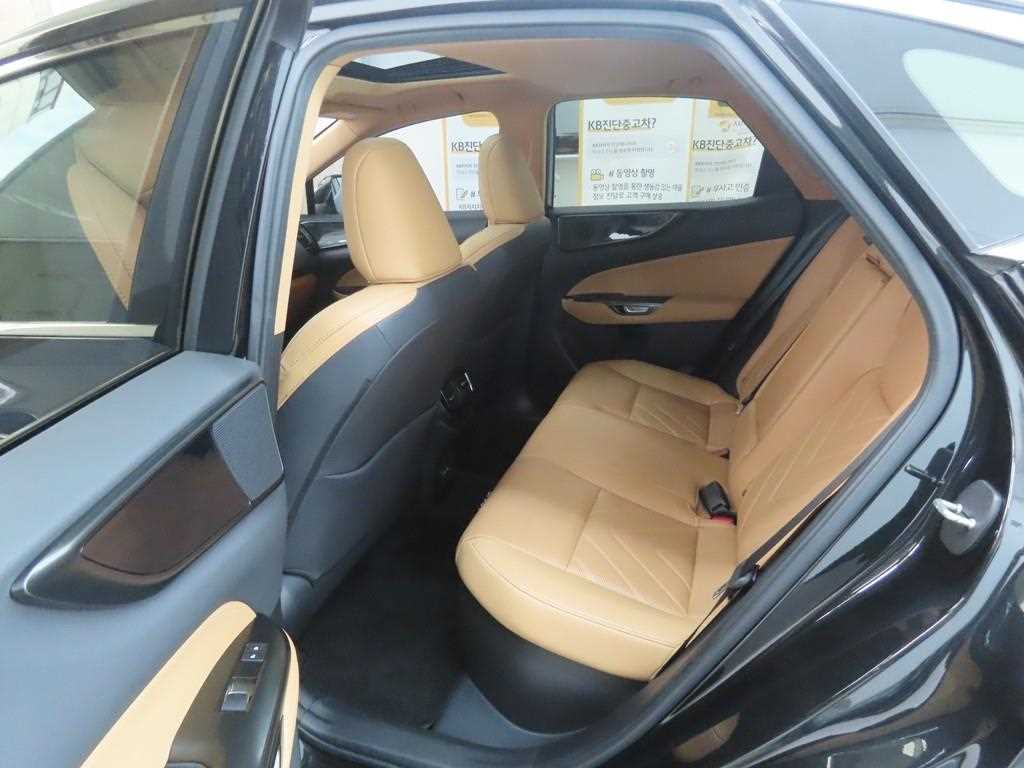 Lexus NX - Vista 6