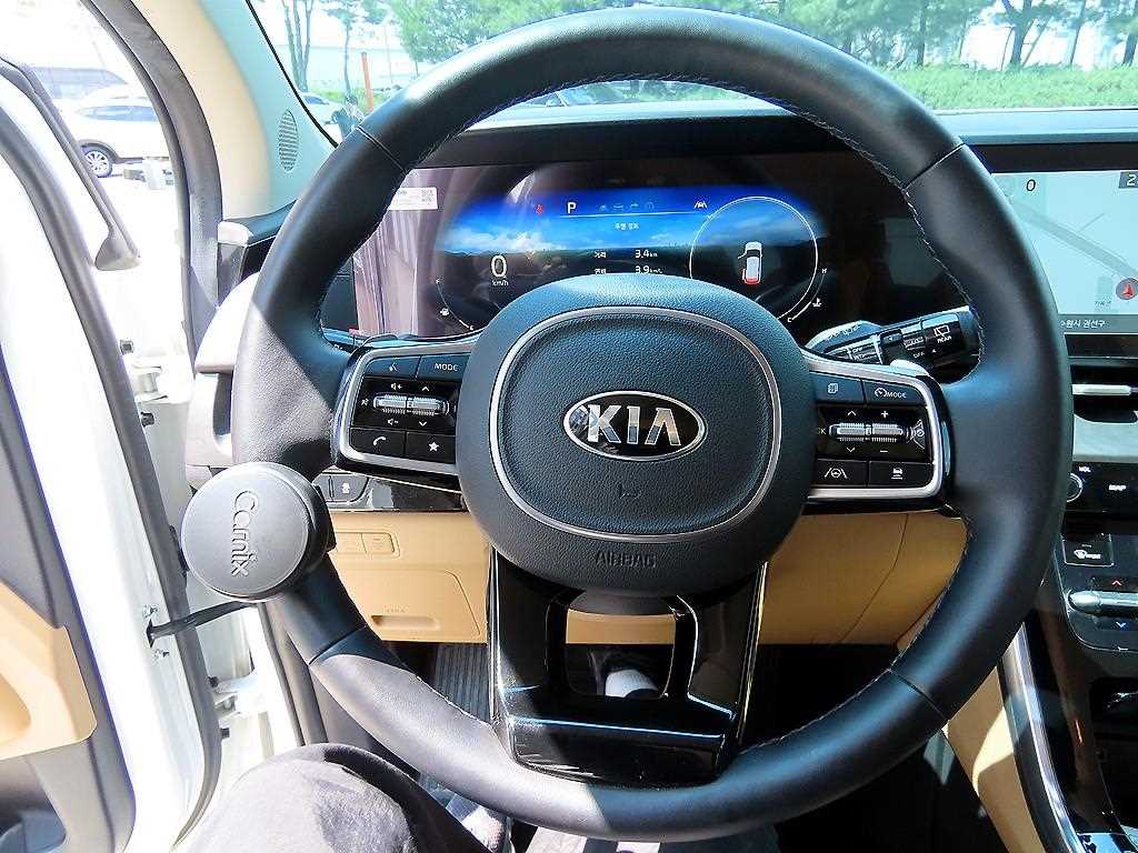 KIA Carnival - Vista 9