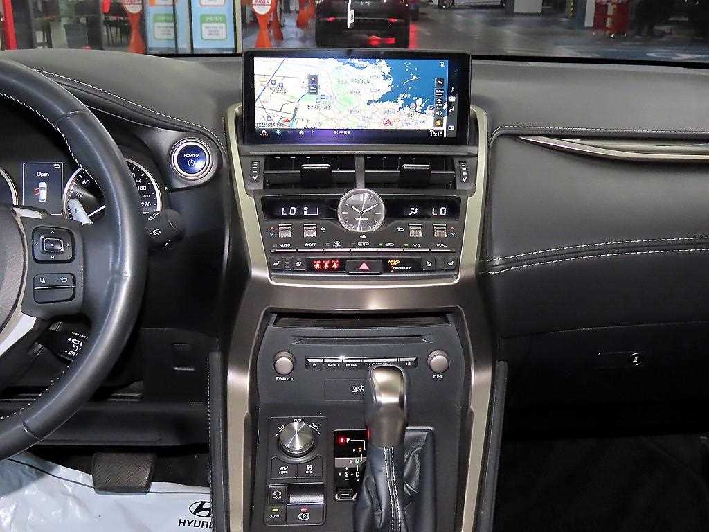 Lexus NX - Vista 11
