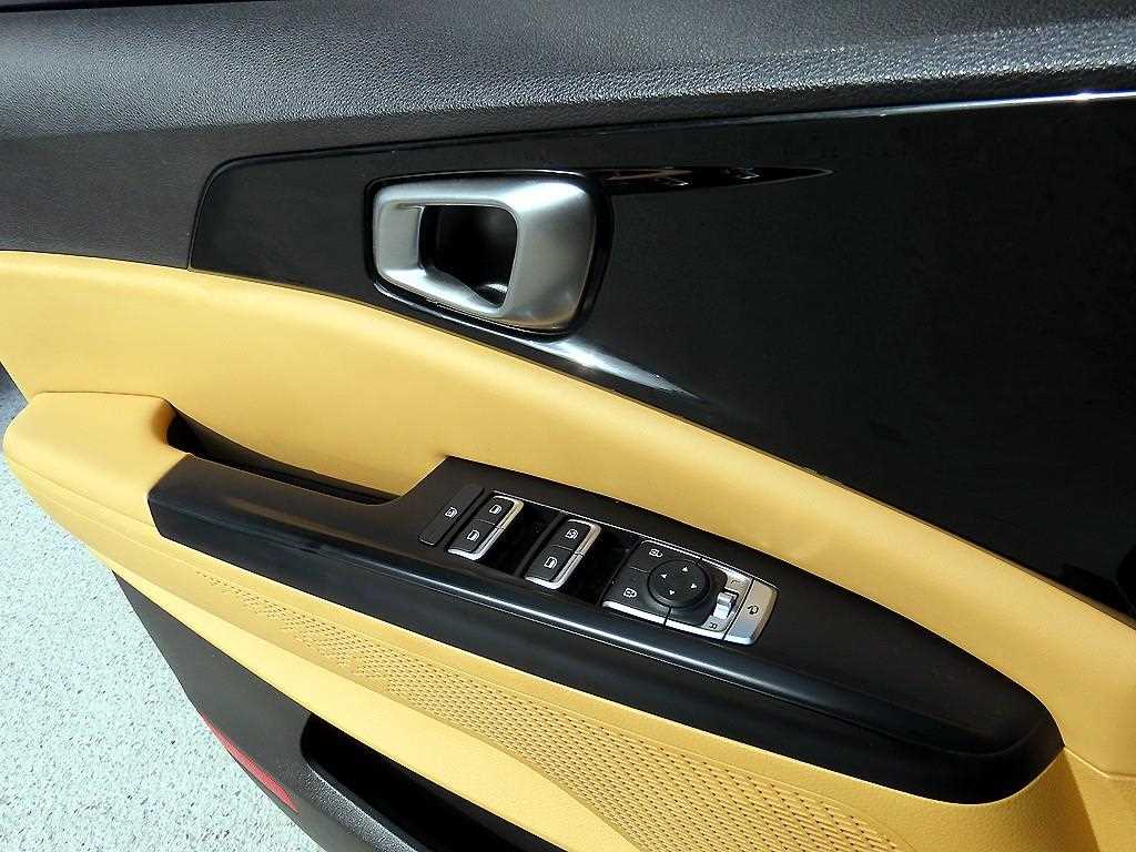 KIA Carnival - Vista 12