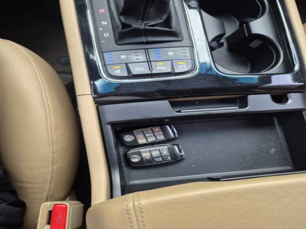 KIA Carnival - Vista 12
